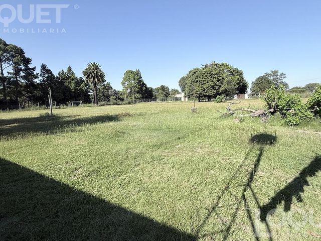 place photo 27