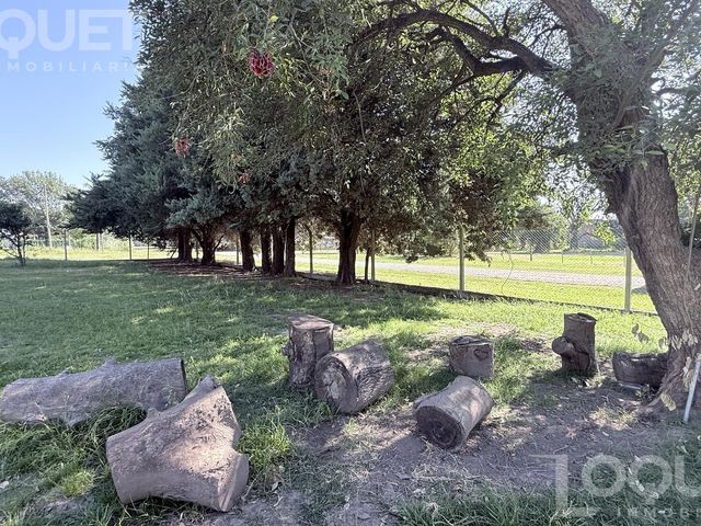 place photo 37