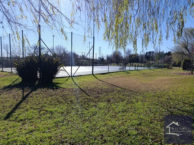 place photo 35