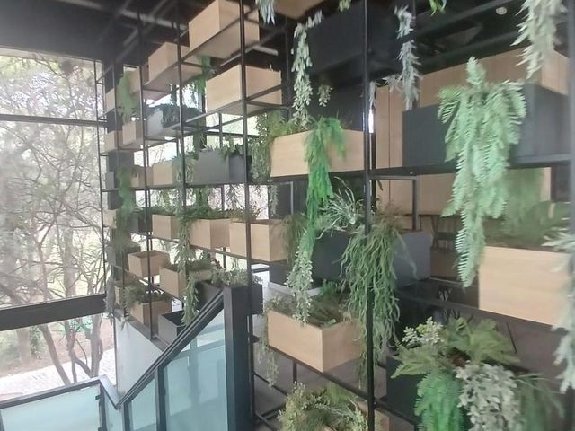 place photo 45