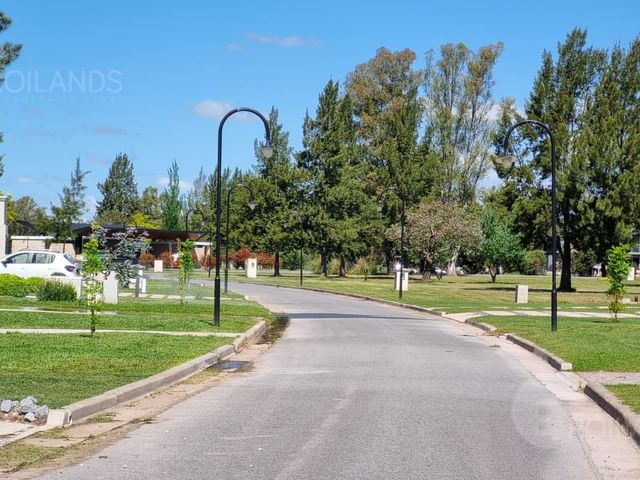 place photo 39