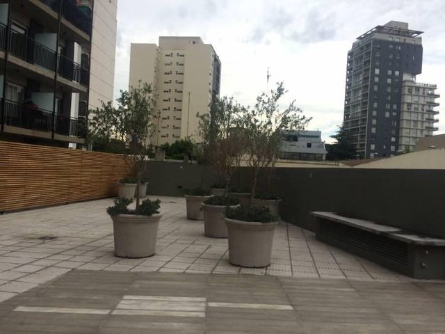 place photo 24