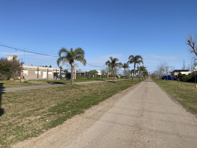 place photo 13