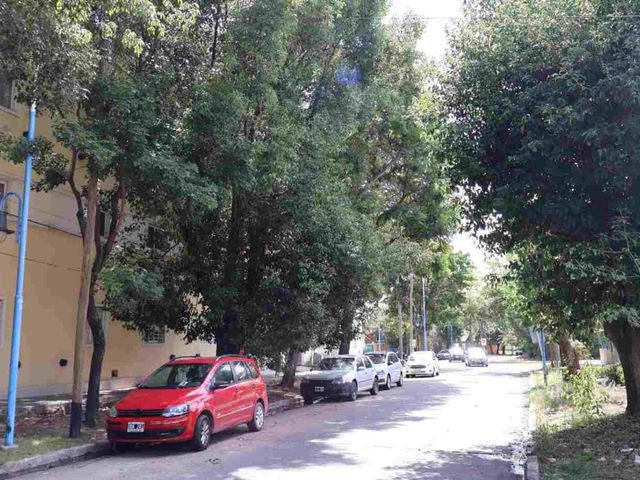 place photo 25