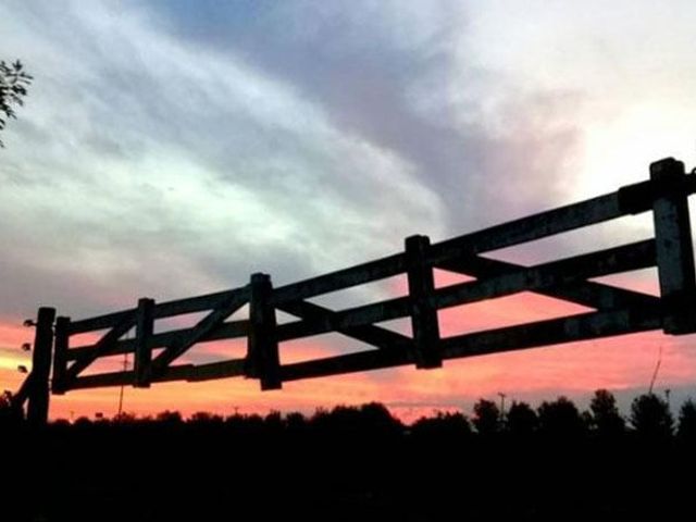 place photo 27