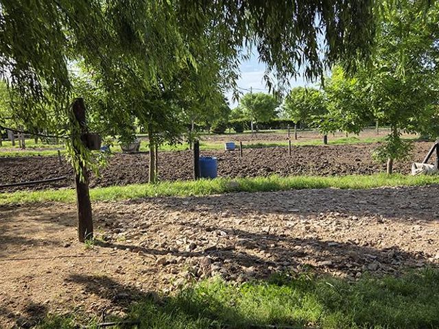 place photo 22