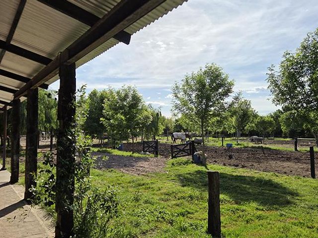 place photo 19