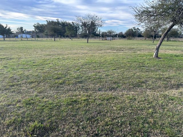 place photo 27