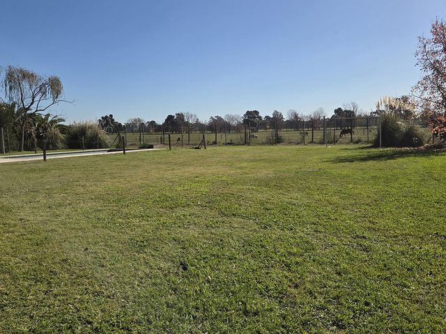 place photo 53