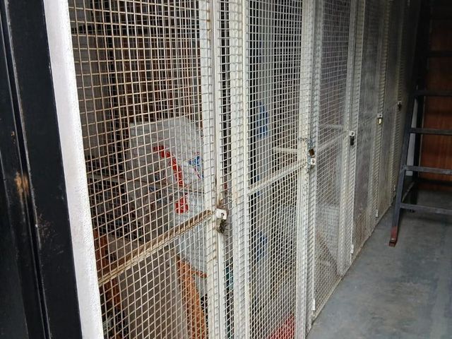 place photo 17