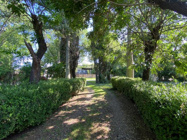 place photo 31