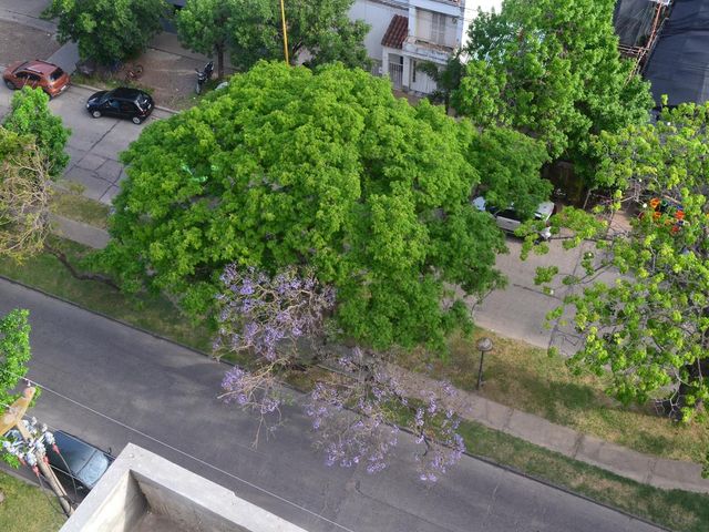 place photo 61