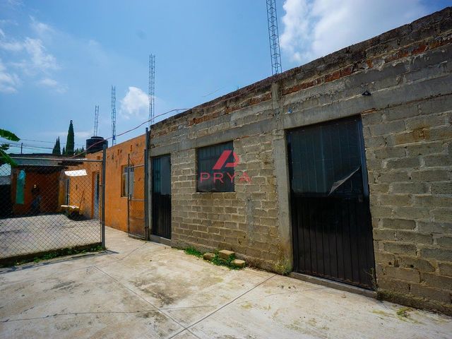 place photo 14