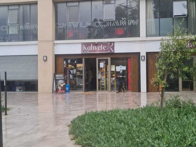 place photo 22