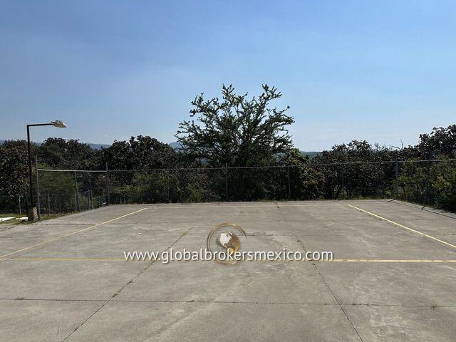 place photo 23