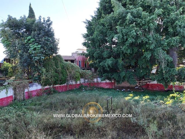 place photo 14