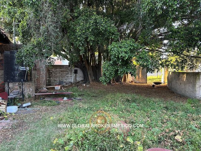 place photo 24