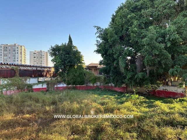 place photo 31