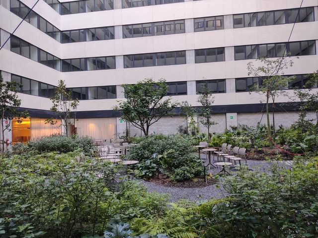 place photo 21