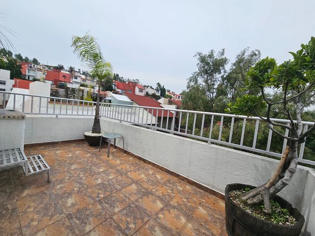 place photo 28