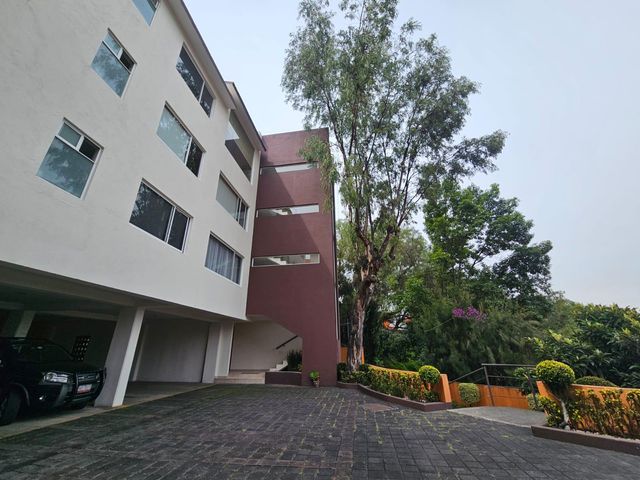 place photo 30