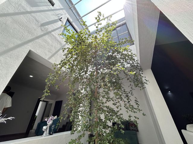 place photo 47
