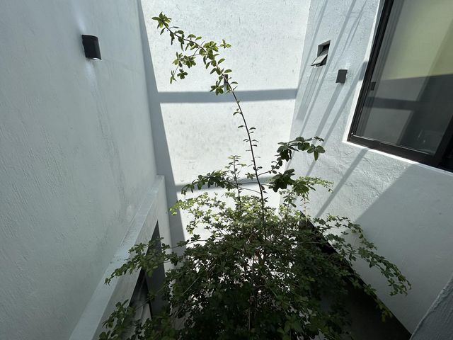place photo 48