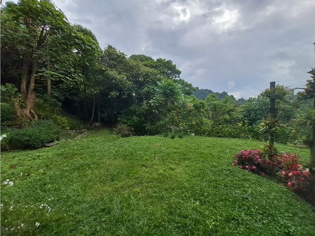 place photo 61