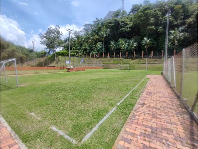 place photo 45