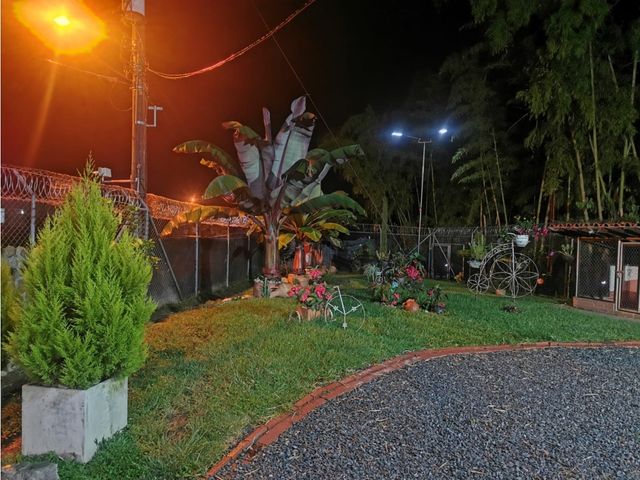 place photo 44