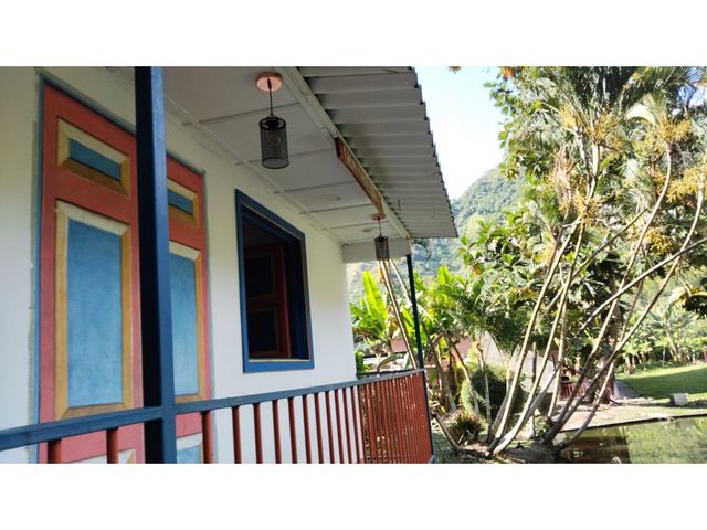 place photo 46