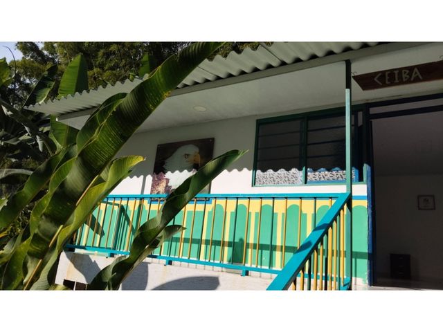 place photo 28