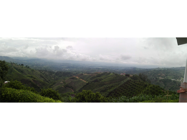 place photo 24