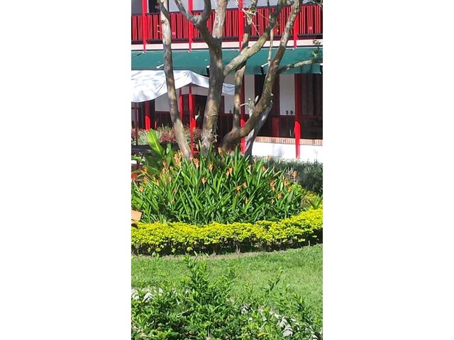place photo 26