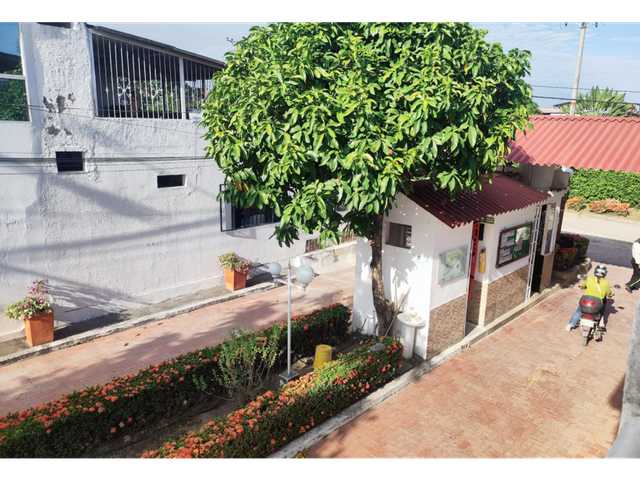 place photo 16