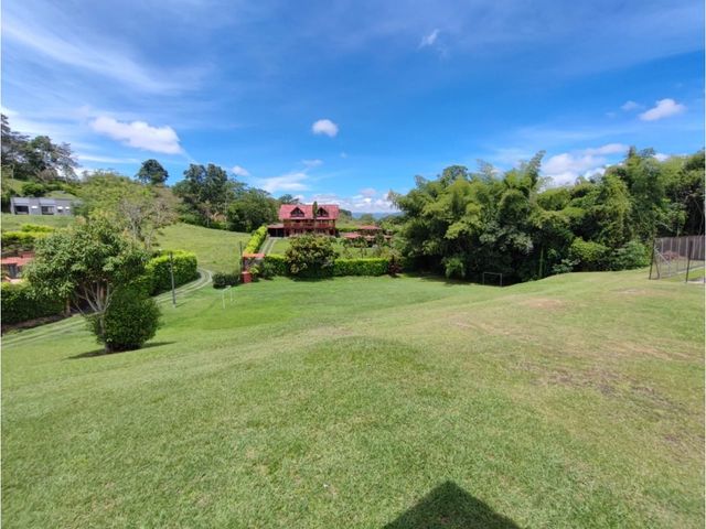 place photo 45