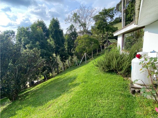 place photo 65