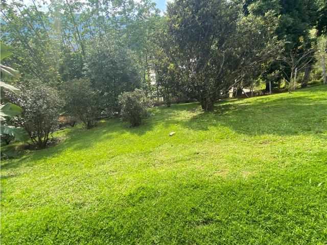 place photo 64