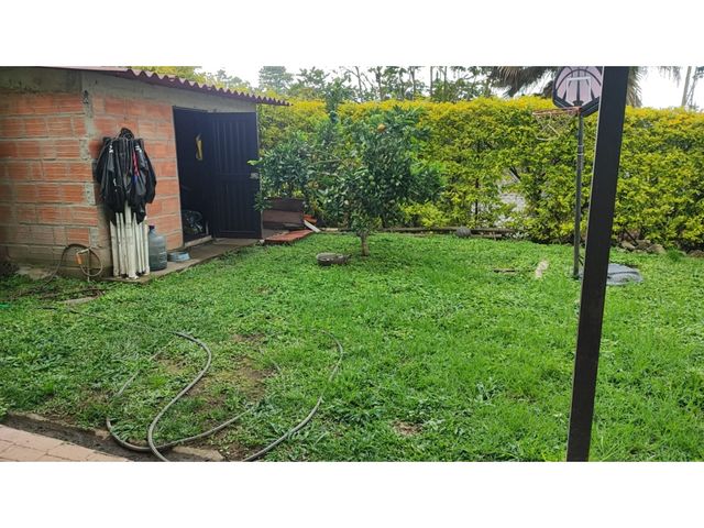 place photo 39
