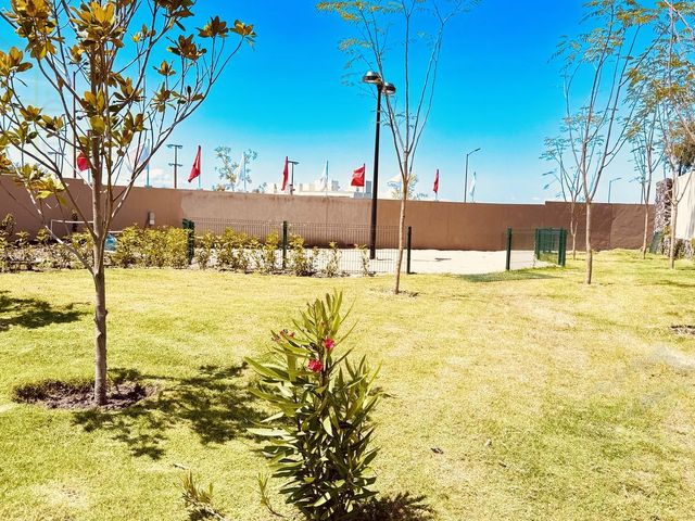 place photo 35