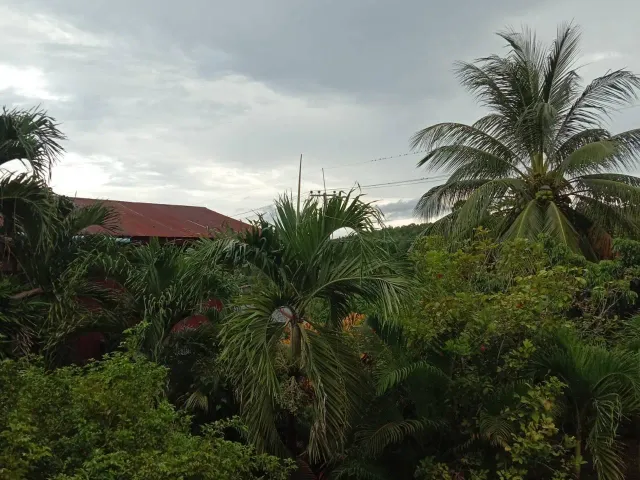 place photo 10