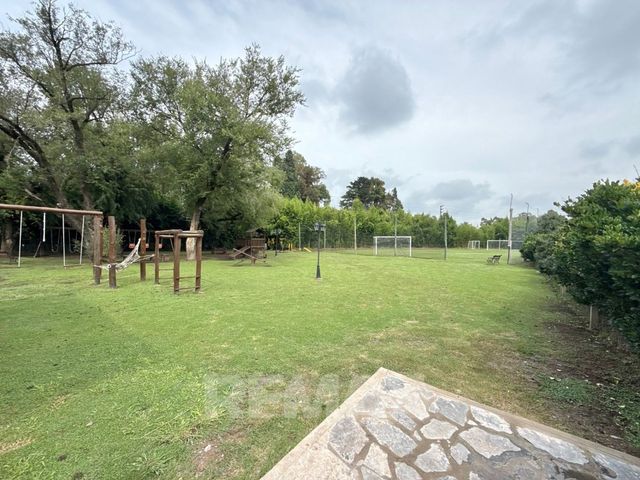 place photo 49