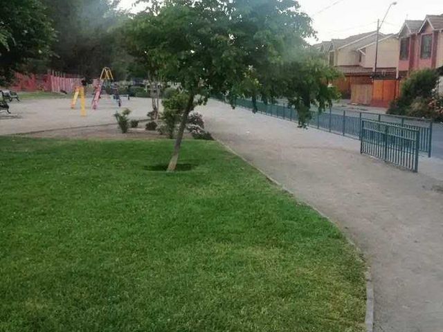 place photo 16