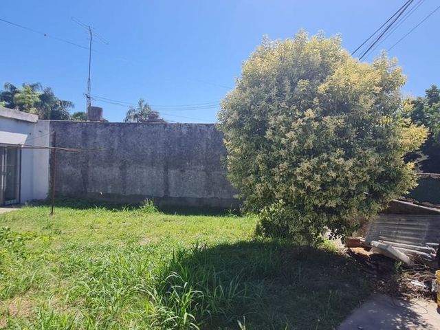 place photo 14