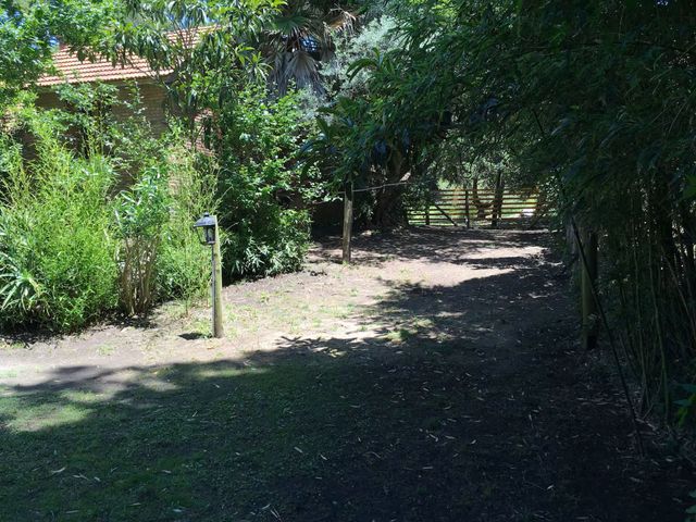 place photo 49