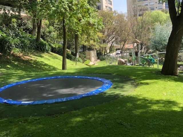place photo 41