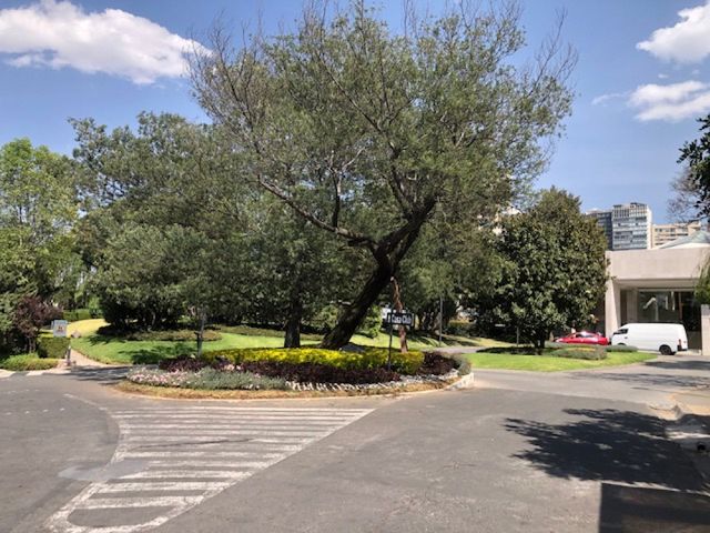 place photo 43