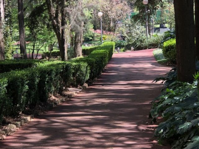place photo 40