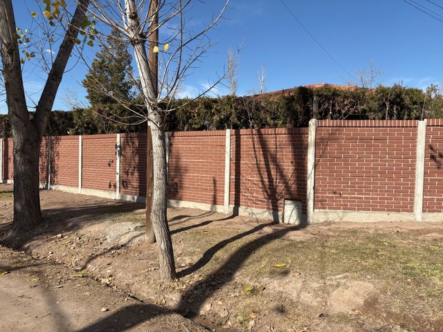 place photo 53