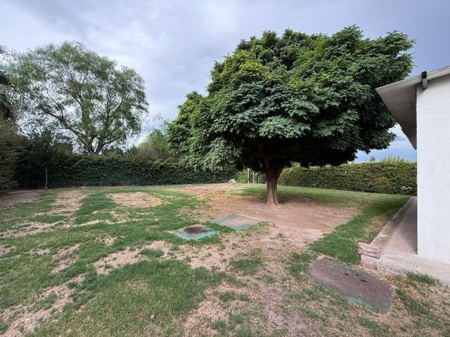 place photo 22